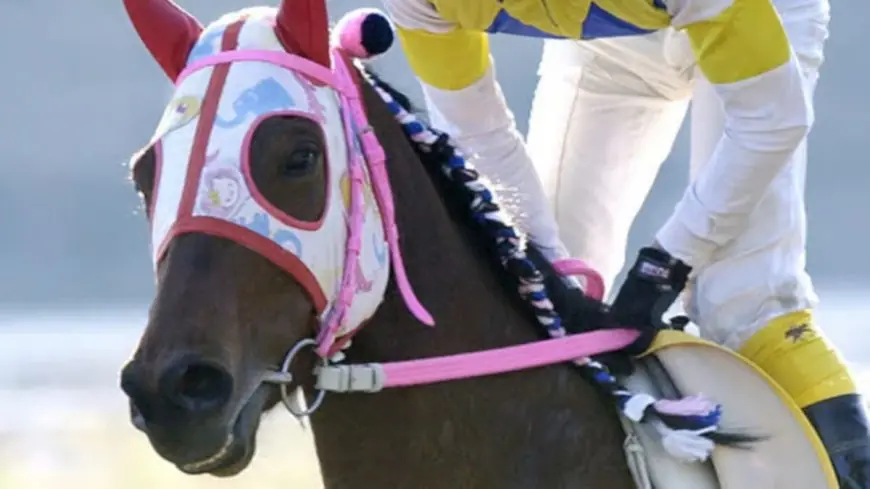 日本で最も愛された負け馬、ハルウララと、29歳で亡くなった後も生き続ける遺産