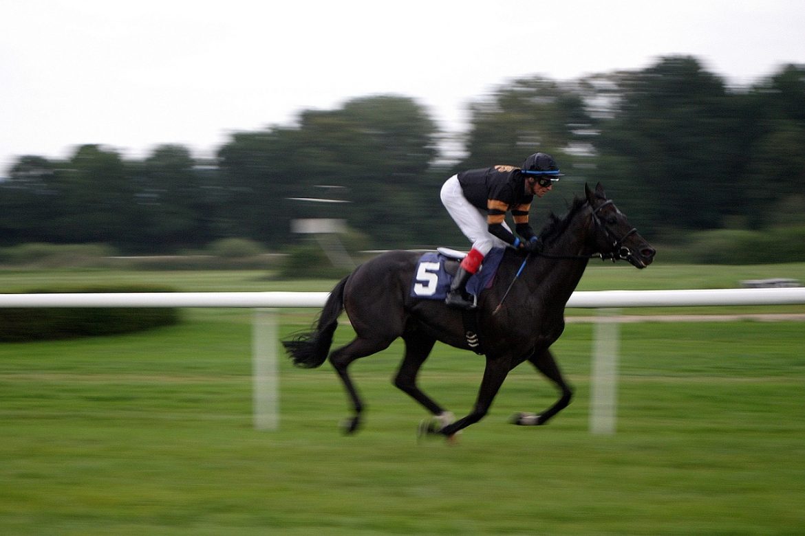 オオバンブルマイ、東京競馬場で新たな快挙へ！吉村師の期待高まる！