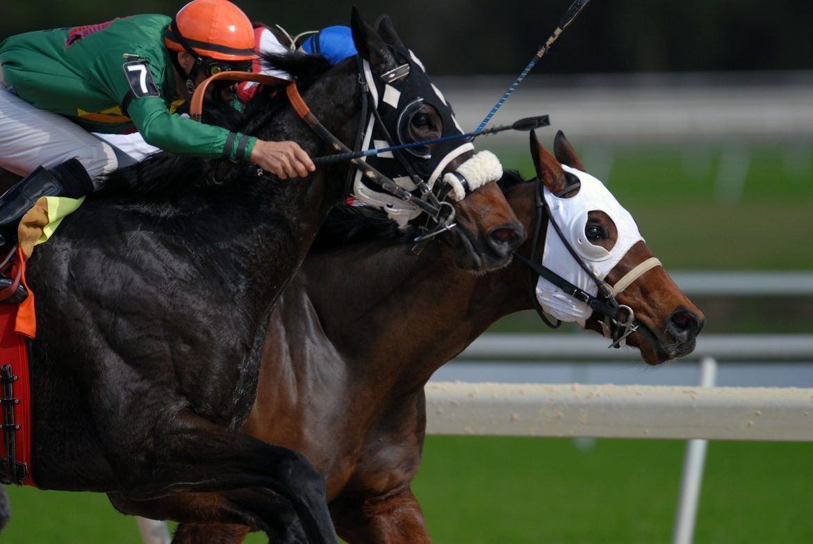 マラードザレコード破棄！21戦の速さ、笠松競馬へ移籍へ