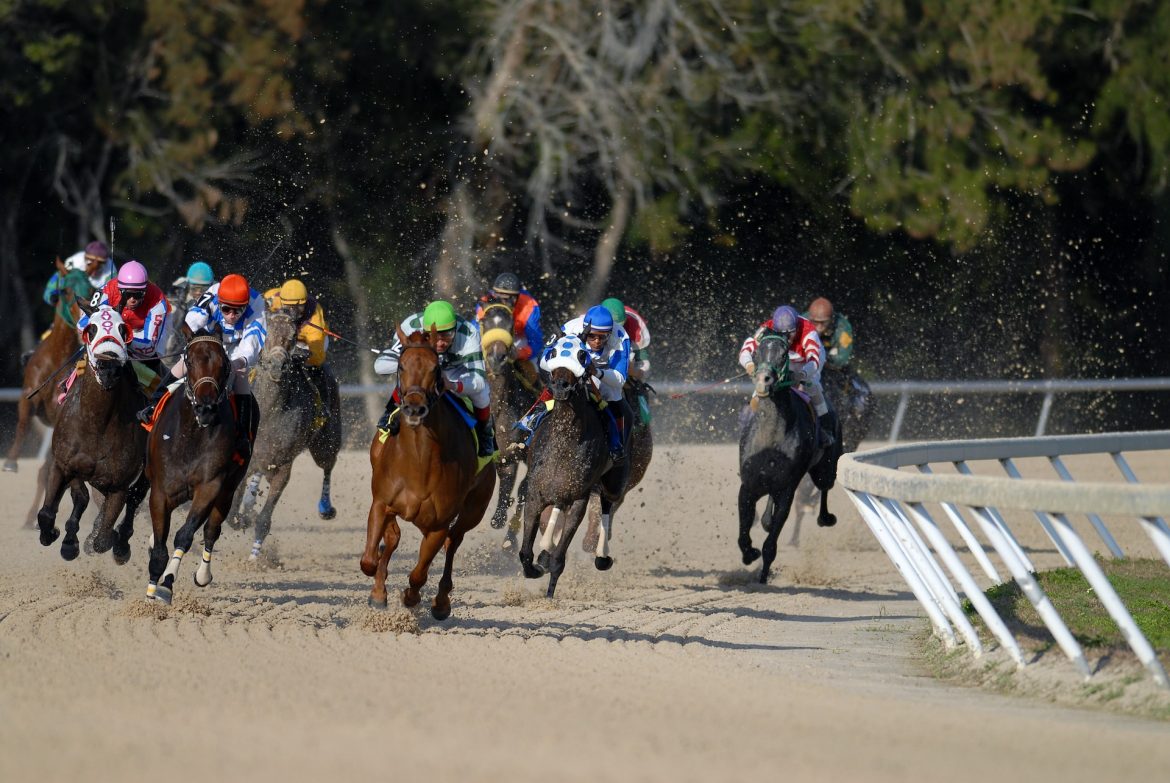 中山競馬場でのホープフルＳ枠順発表後：ミスタージーティー陣営の意気込みと期待