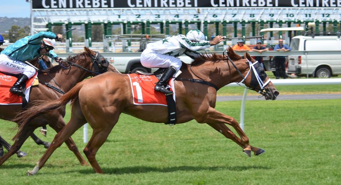 姫路競馬に和田竜二騎手登場、11年半ぶりの感動　新顔の河原田菜々騎手も初参戦